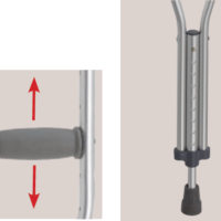 AXILYA - Holhandastafir