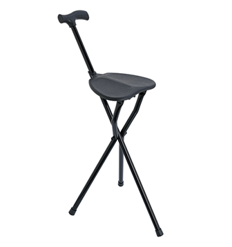 Sætistungustöng Sætistungustöng