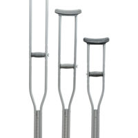 AXILYA - Holhandastafir